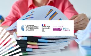 Visuel illustrant le dispositif ingénierie avec les logos de la cci de corse, de l'adec et la république française